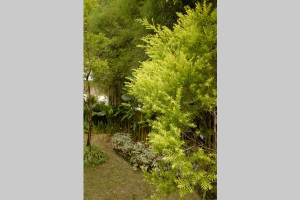 The Pines Vimala Hills Βίλα Μπογκόρ Εξωτερικό φωτογραφία